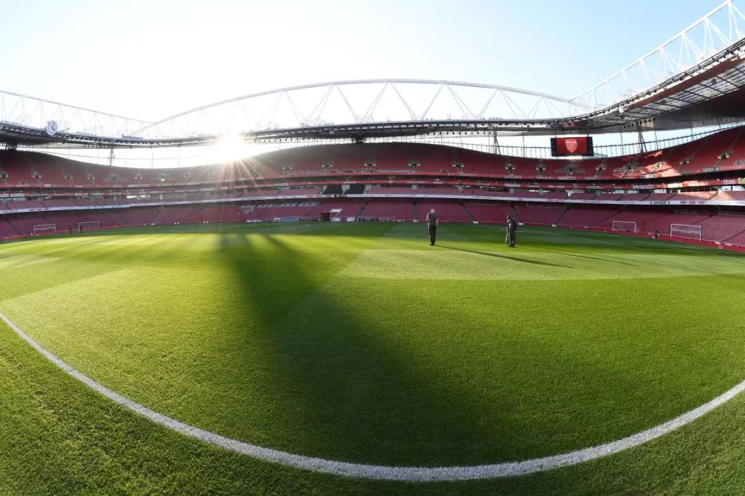 体育官方应用-重生之幡然醒悟